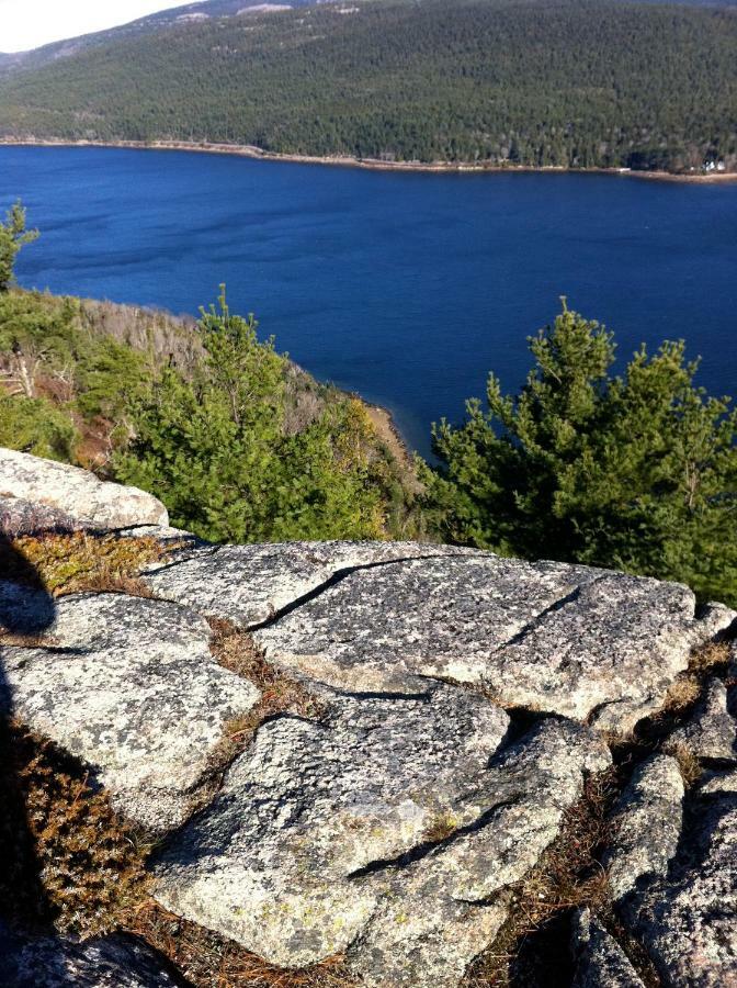 Canterbury Suites B&B Bar Harbor Exteriör bild
